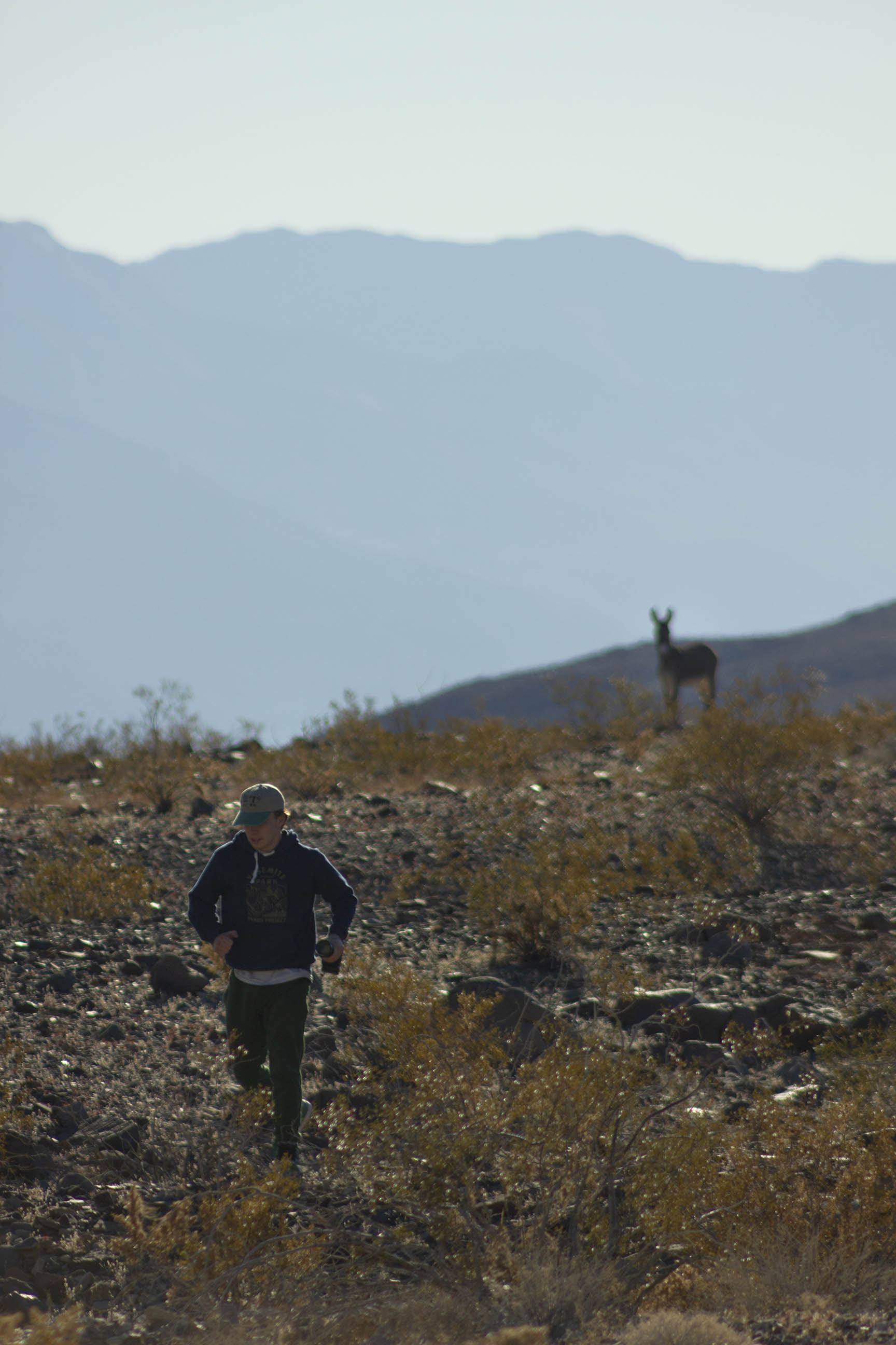 Danger in the Desert