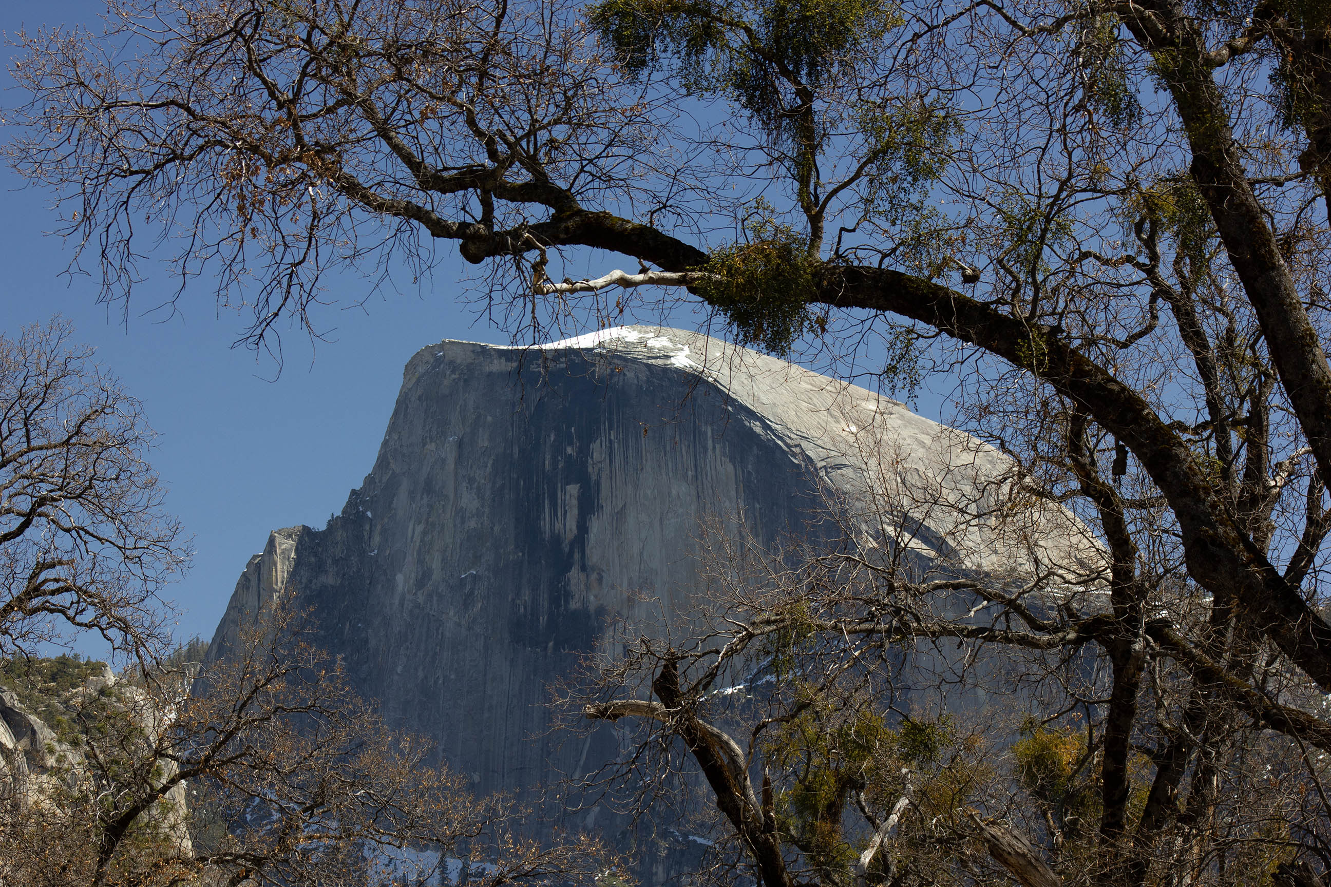 Half Dome