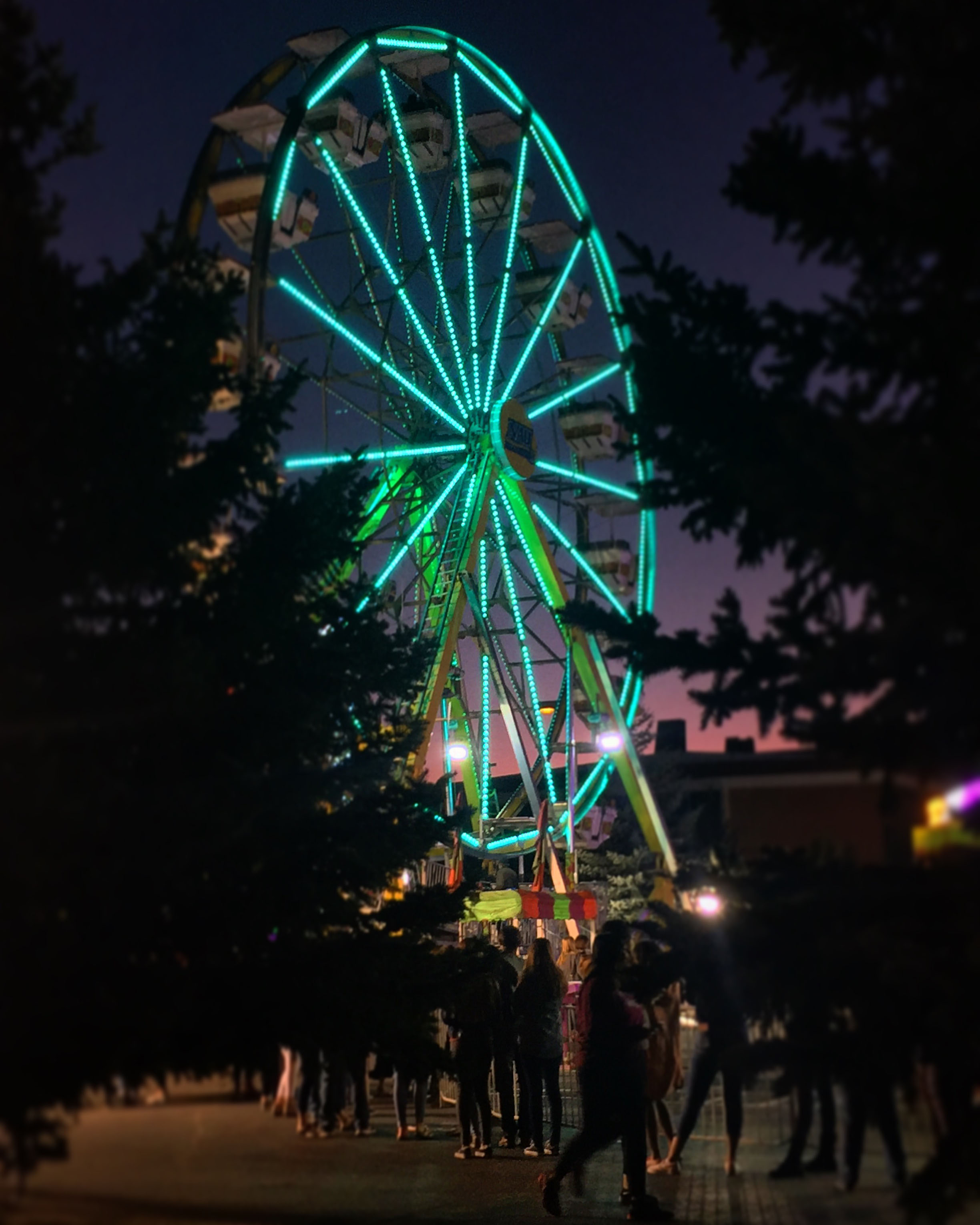 Ferris Wheel