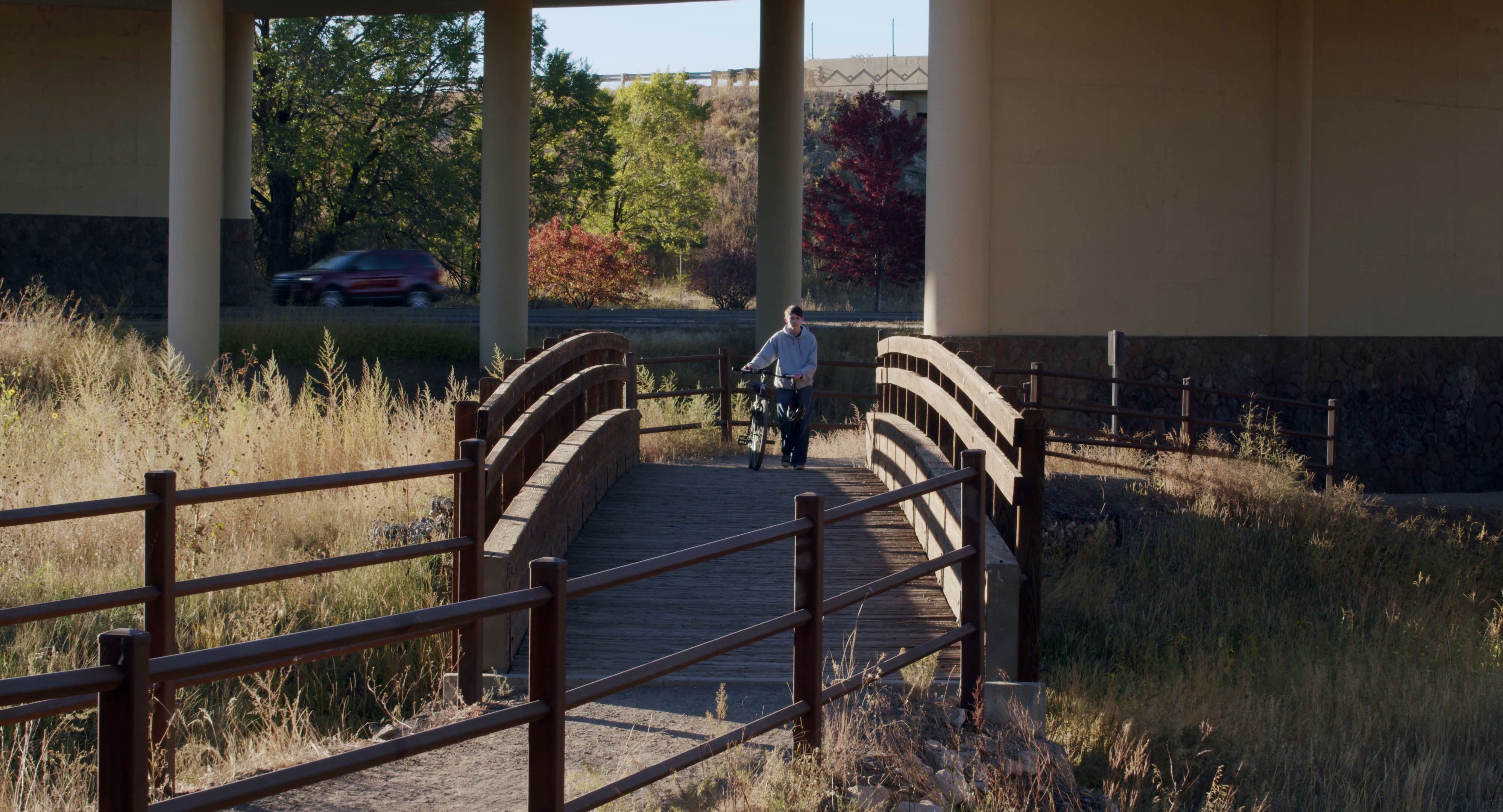 Bridge Morning